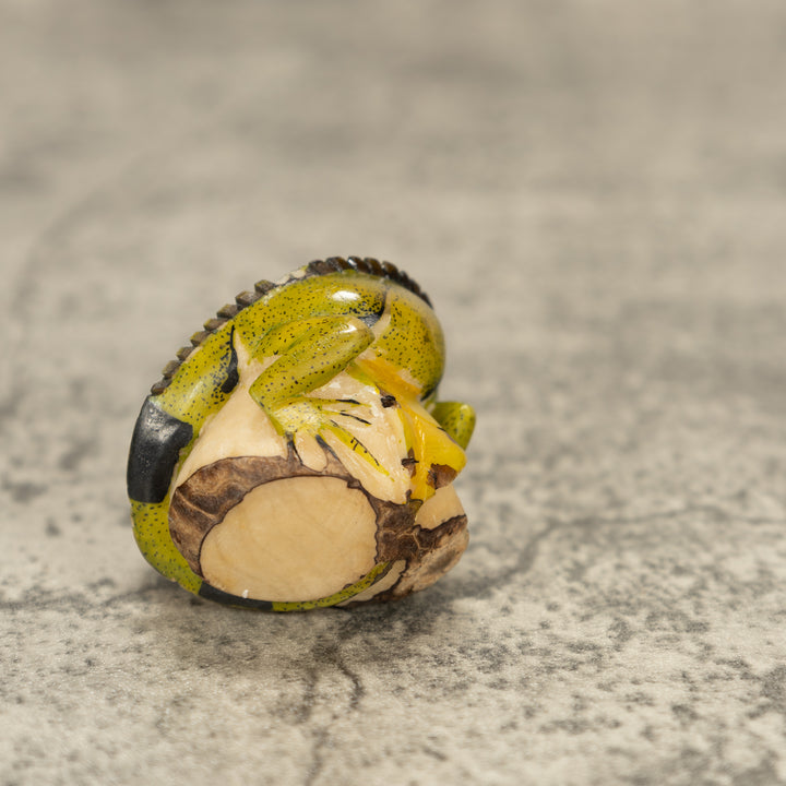 Iguana Lizard Tagua Nut Carving