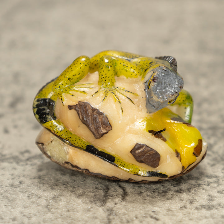 Iguana Lizard Tagua Nut Carving