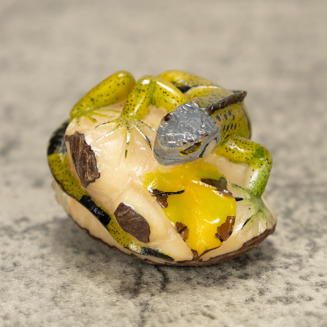 Iguana Lizard Tagua Nut Carving