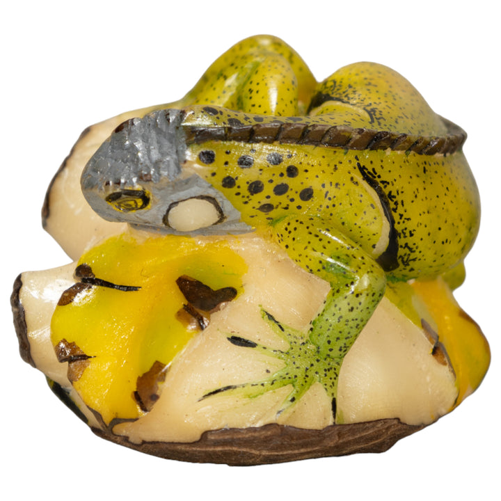 Iguana Lizard Tagua Nut Carving