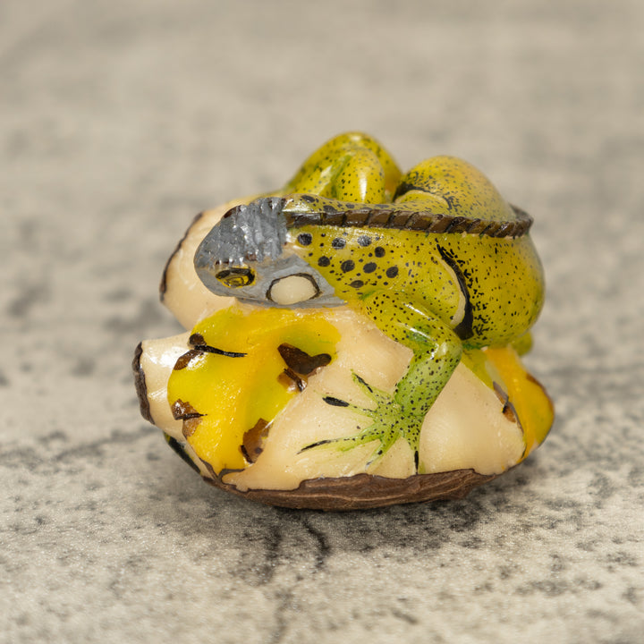 Iguana Lizard Tagua Nut Carving