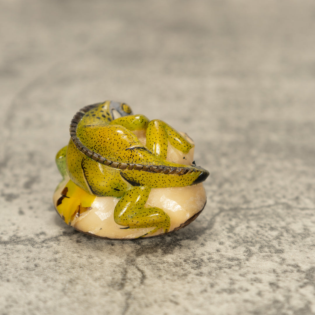 Iguana Lizard Tagua Nut Carving