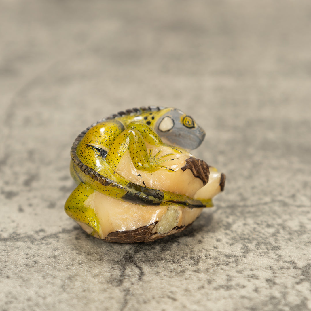 Iguana Lizard Tagua Nut Carving