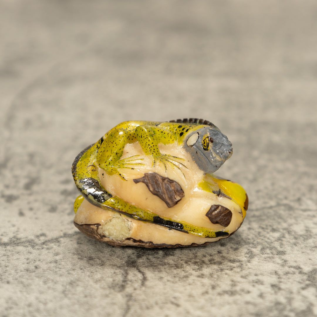 Iguana Lizard Tagua Nut Carving