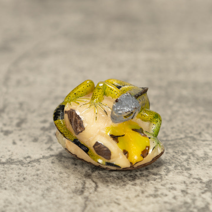 Iguana Lizard Tagua Nut Carving