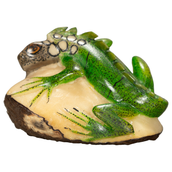 Iguana Lizard Tagua Nut Carving