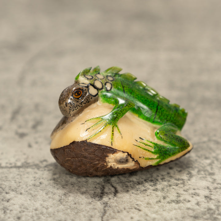 Iguana Lizard Tagua Nut Carving