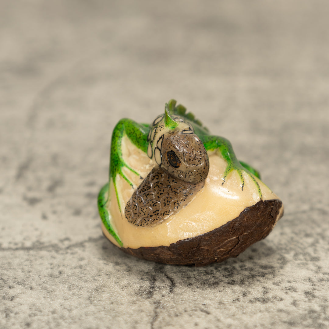 Iguana Lizard Tagua Nut Carving