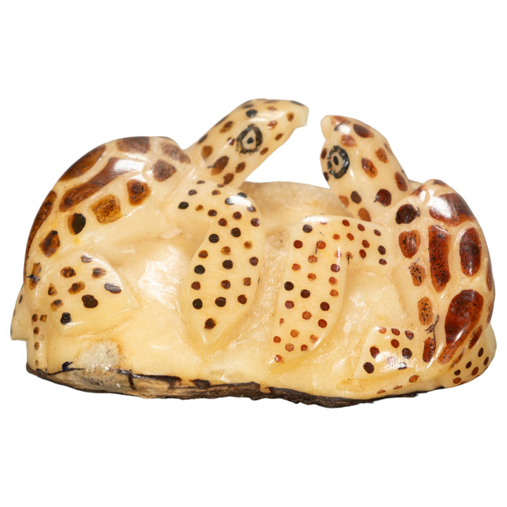 Two Sea Turtle Tagua Nut Carving