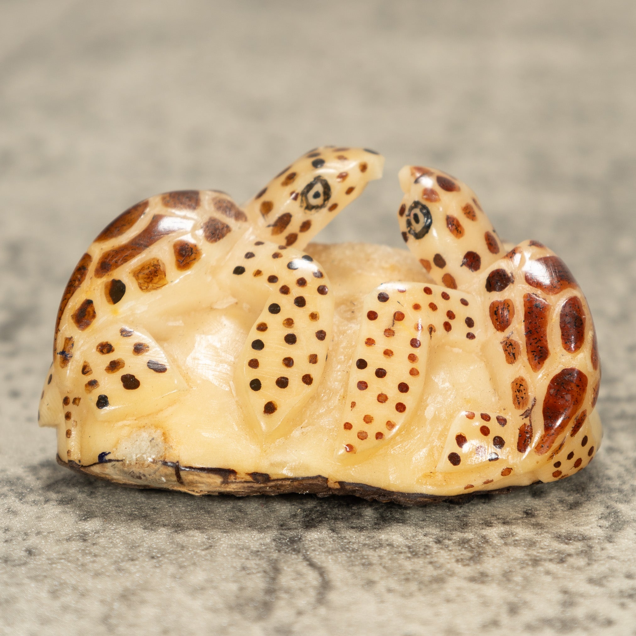 Two Sea Turtle Tagua Nut Carving
