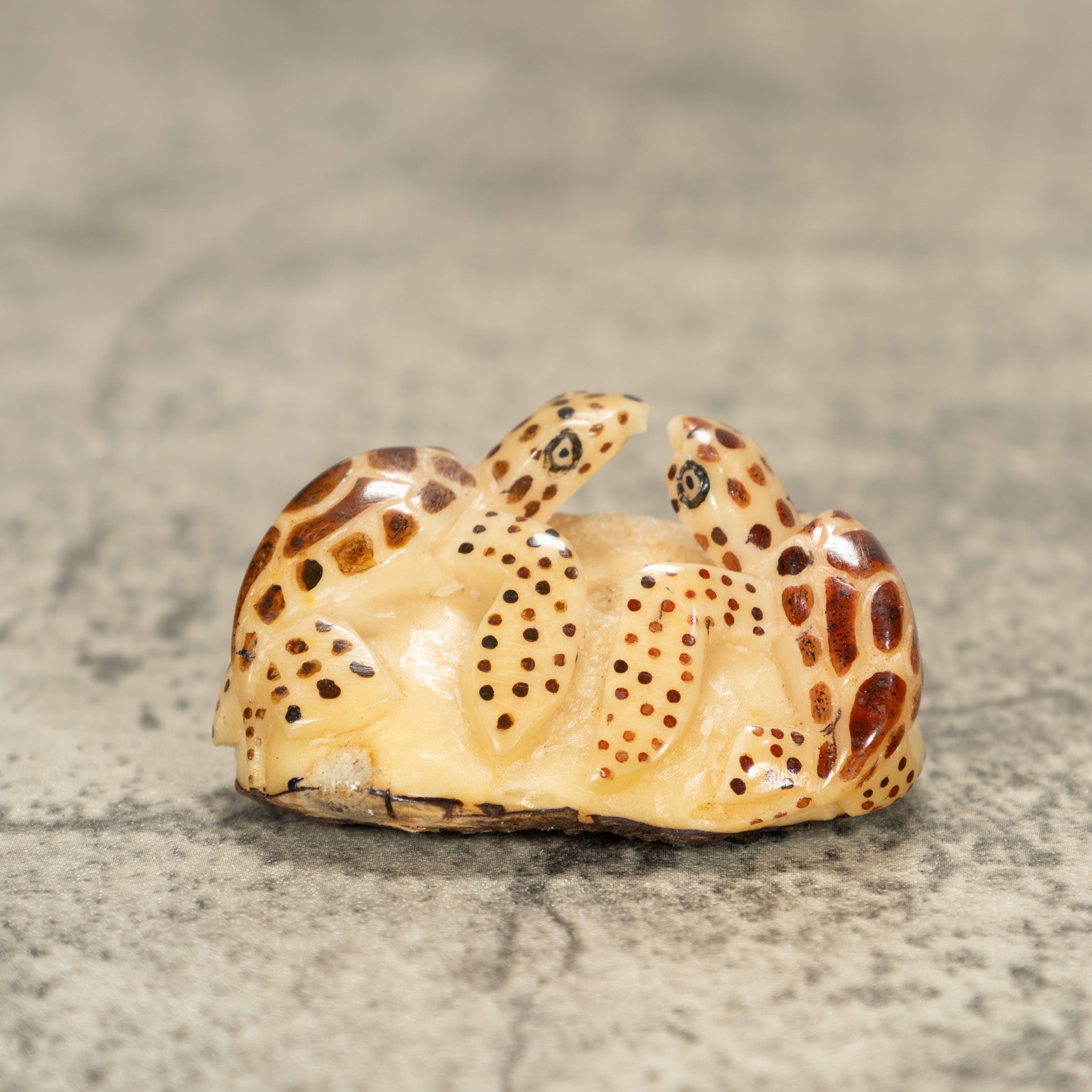 Two Sea Turtle Tagua Nut Carving