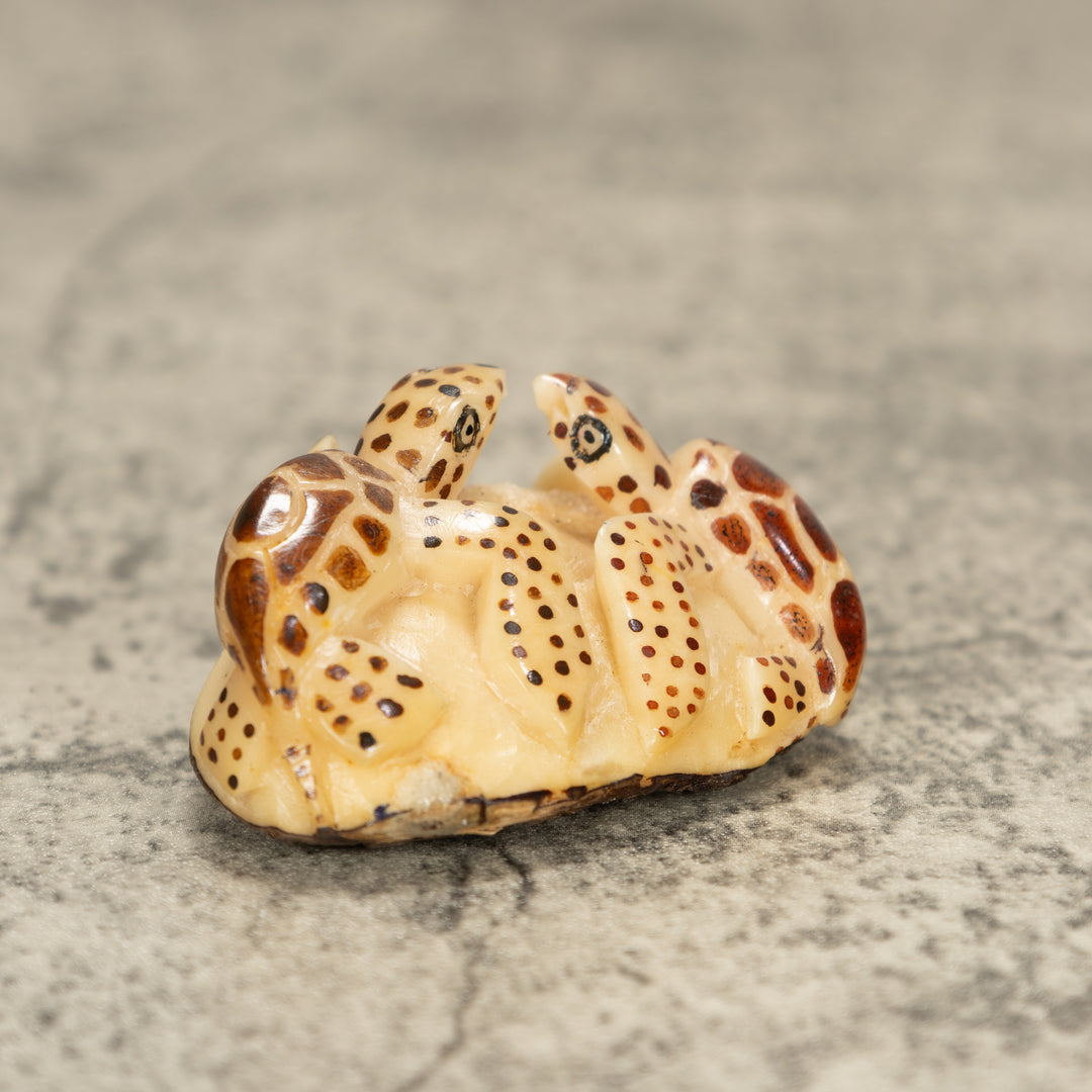 Two Sea Turtle Tagua Nut Carving