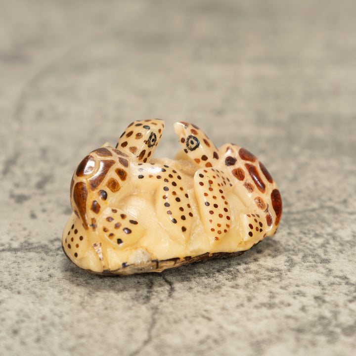 Two Sea Turtle Tagua Nut Carving