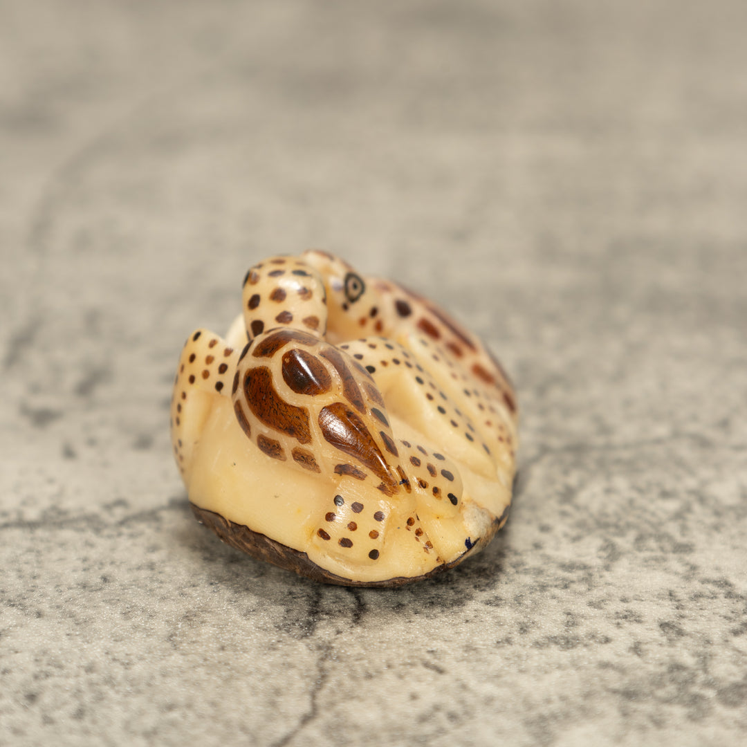 Two Sea Turtle Tagua Nut Carving
