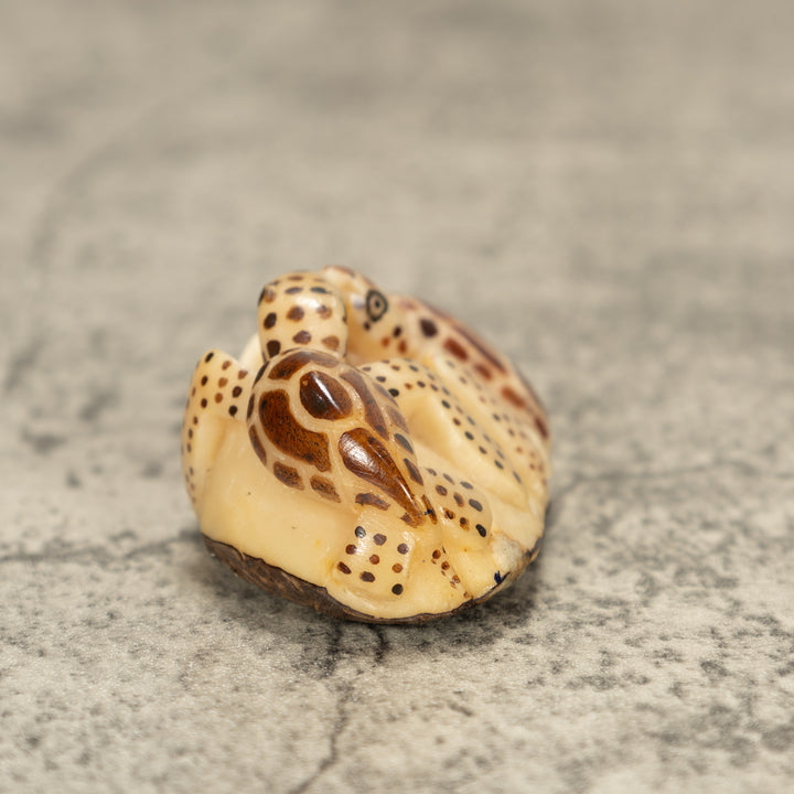 Two Sea Turtle Tagua Nut Carving