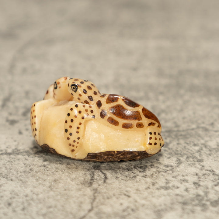 Two Sea Turtle Tagua Nut Carving