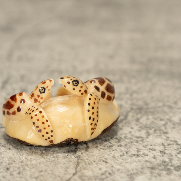 Two Sea Turtle Tagua Nut Carving