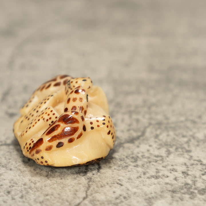 Two Sea Turtle Tagua Nut Carving