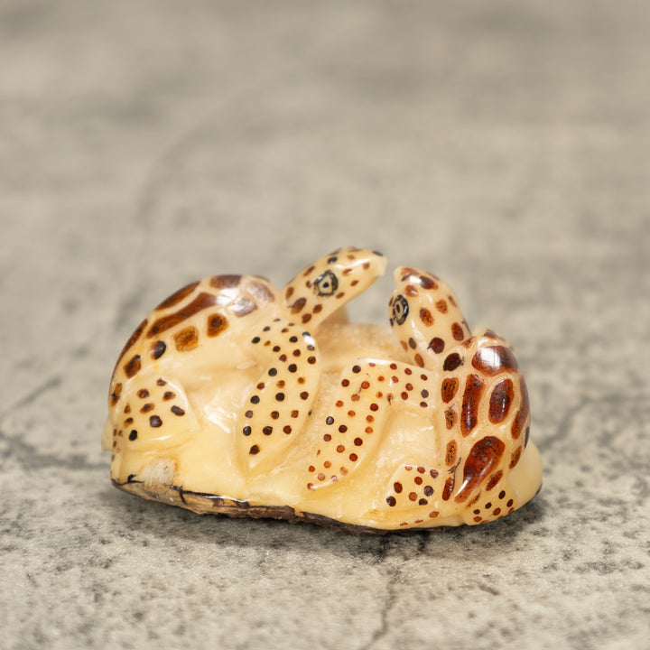 Two Sea Turtle Tagua Nut Carving