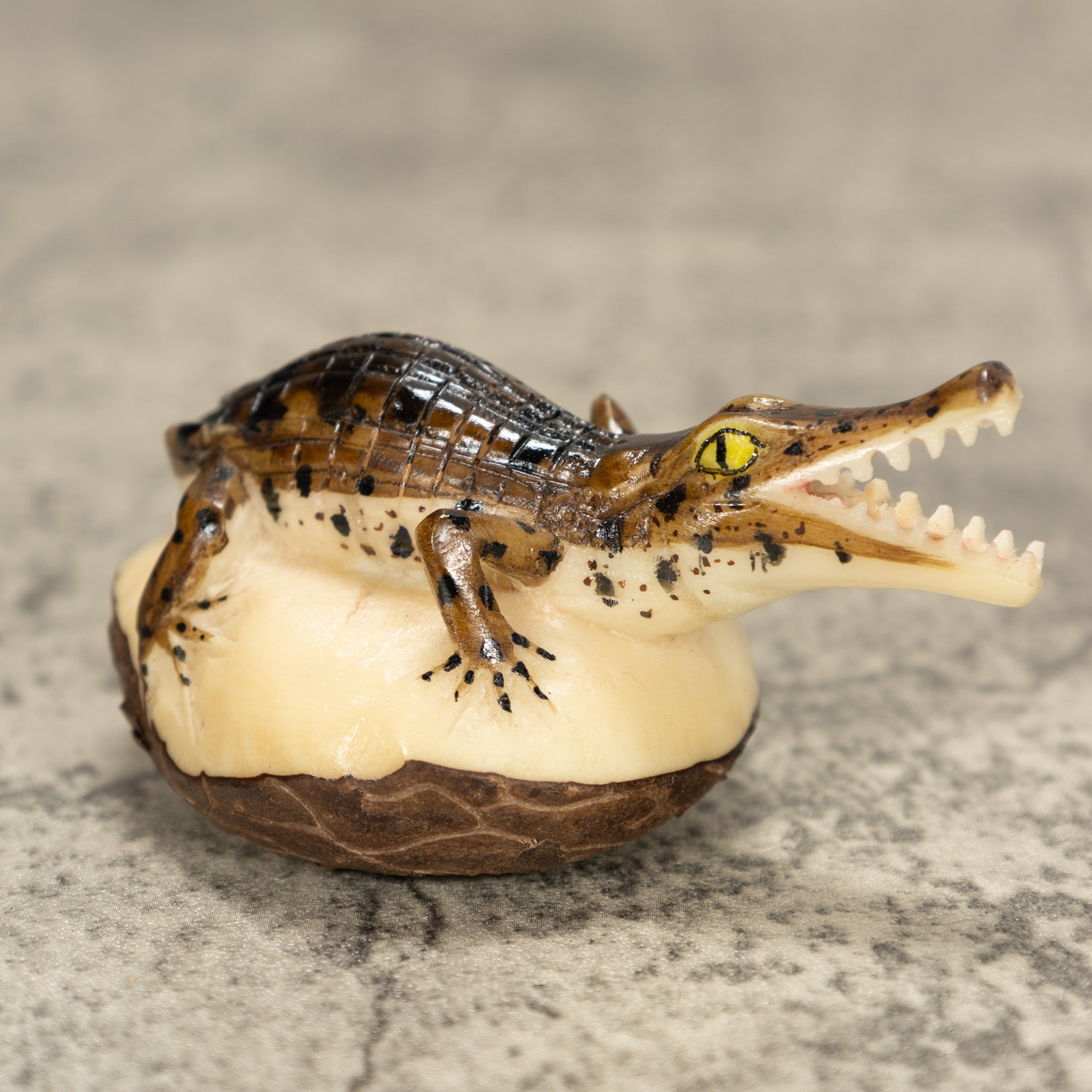 Alligator Crocodile Caiman Tagua Nut Carving