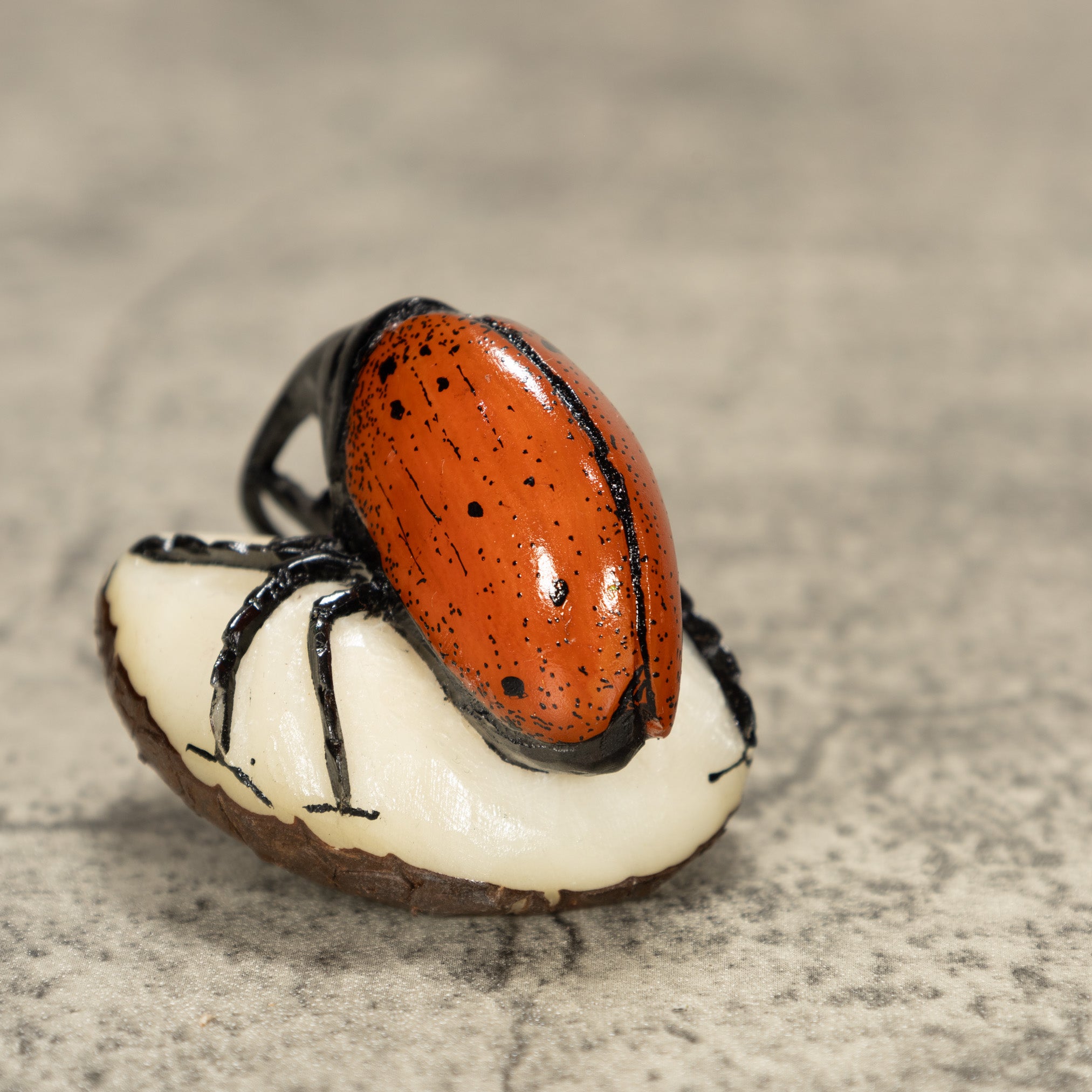 Orange And Black Bug Insect Tagua Nut Carving