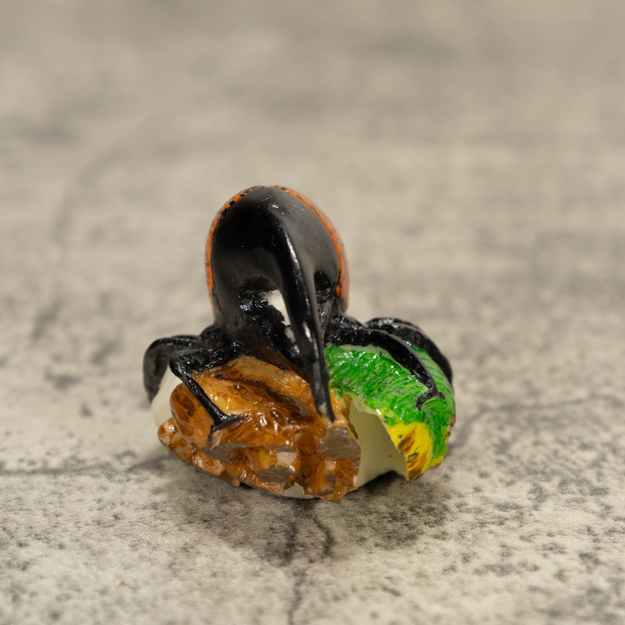 Orange And Black Bug Insect Tagua Nut Carving