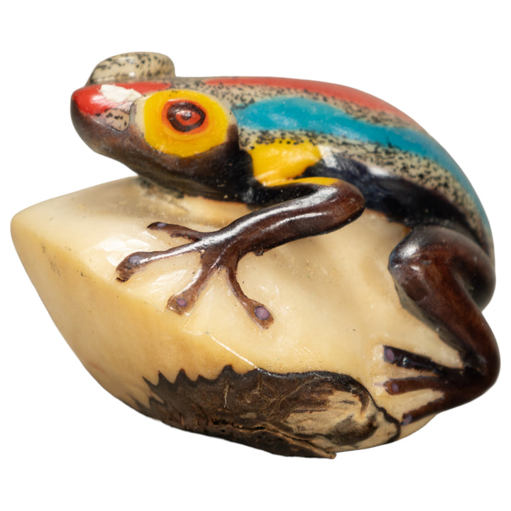 Poison Dart Frog Tagua Nut Carving