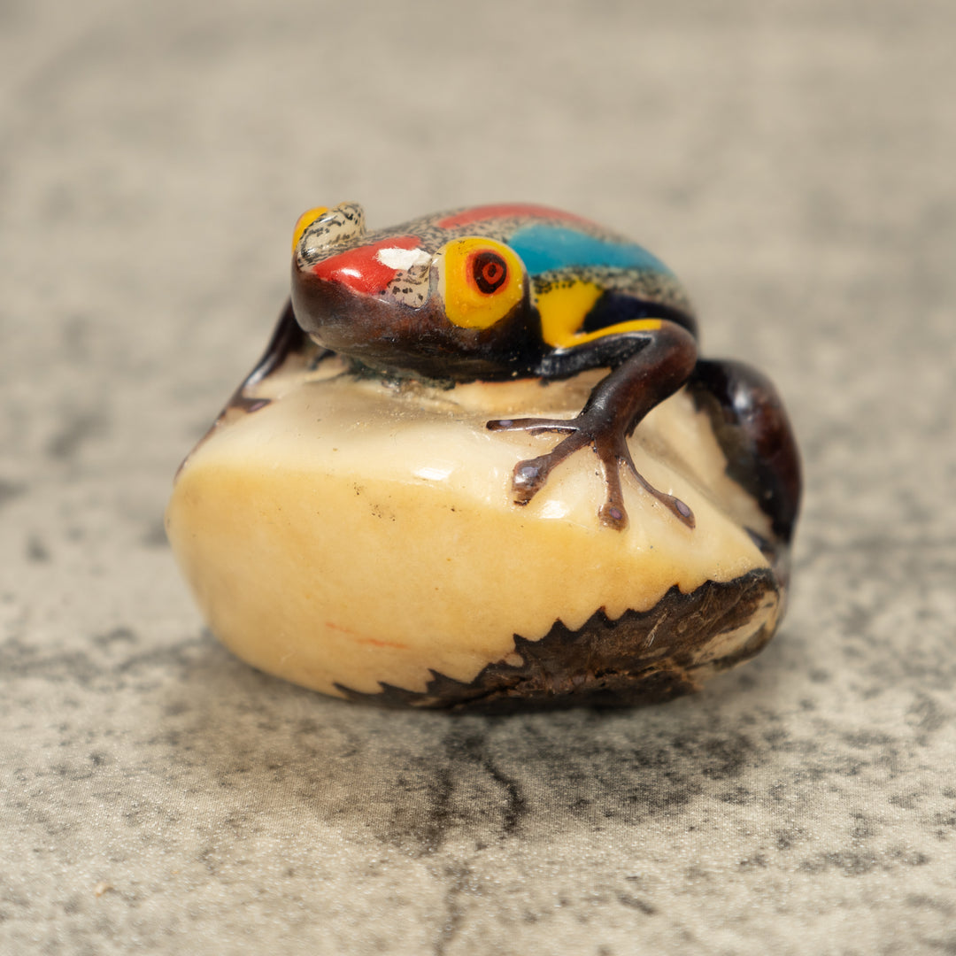 Poison Dart Frog Tagua Nut Carving