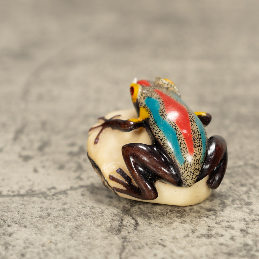 Poison Dart Frog Tagua Nut Carving