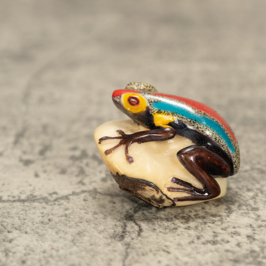 Poison Dart Frog Tagua Nut Carving