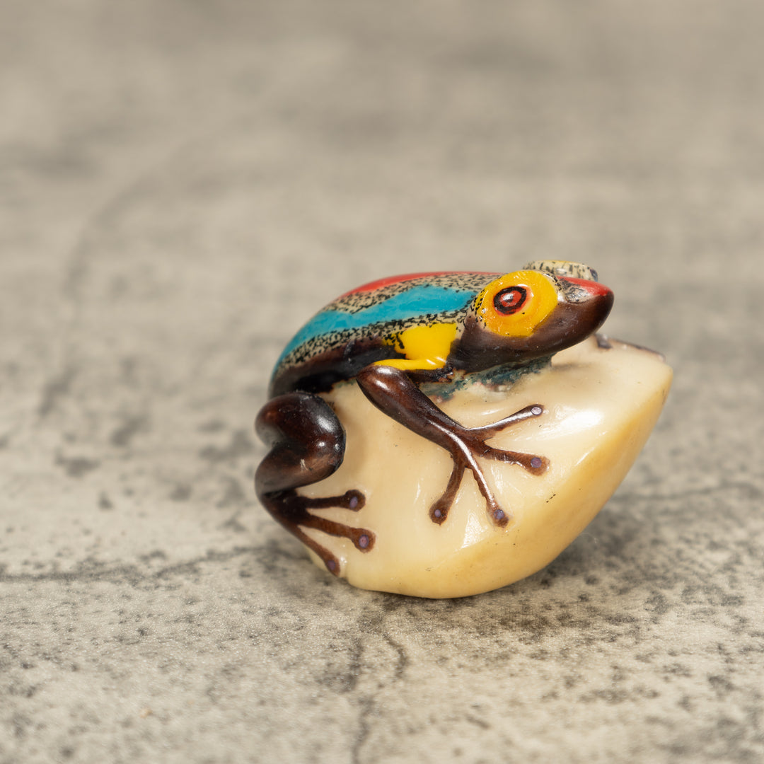 Poison Dart Frog Tagua Nut Carving