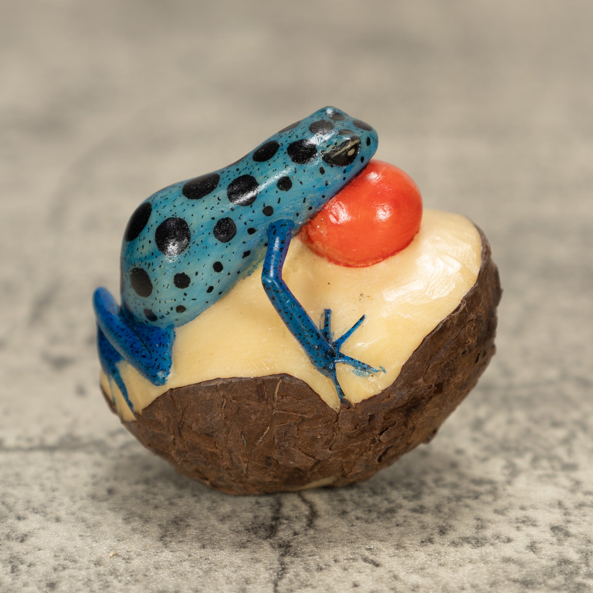 Blowthroat Poison Dart Frog Tagua Nut Carving