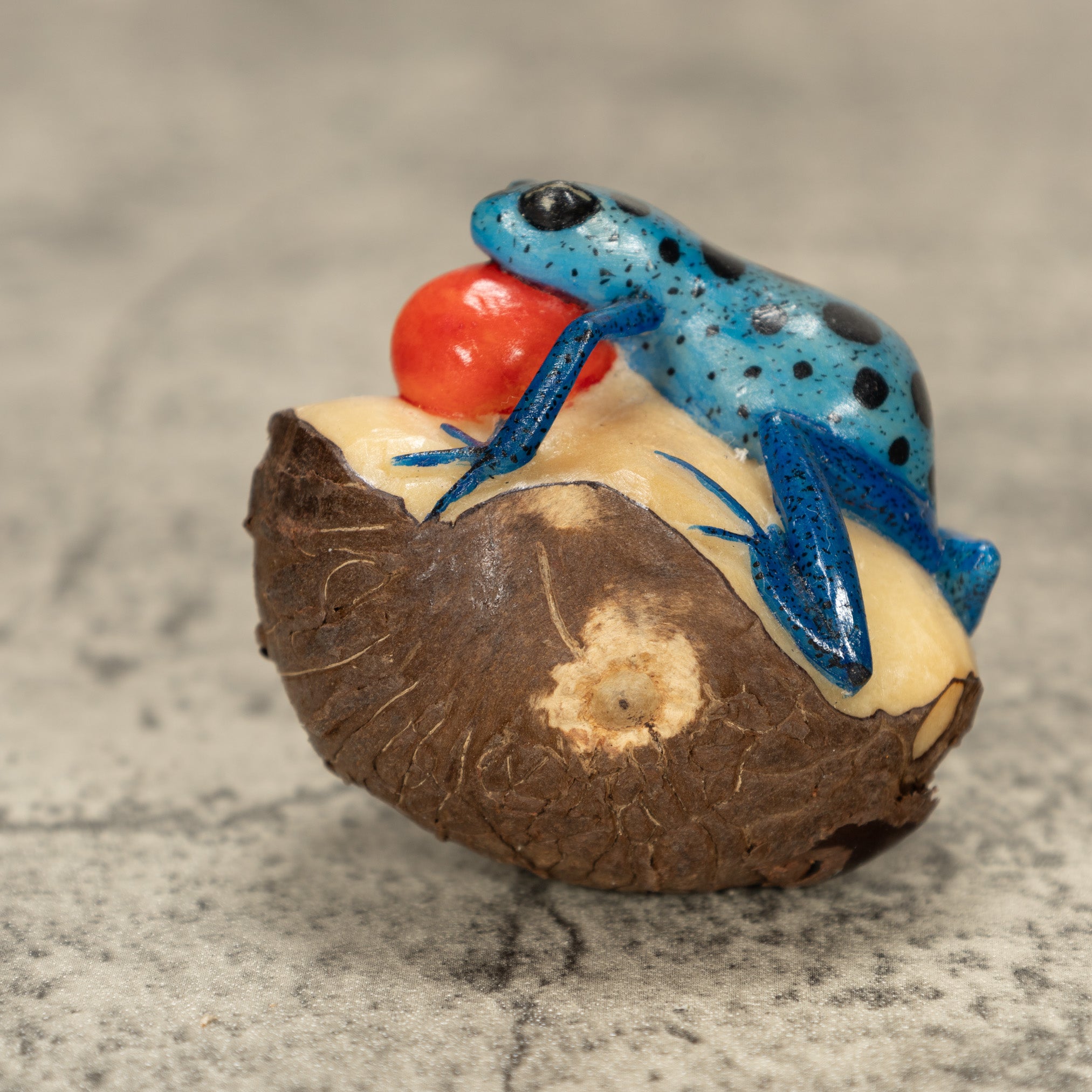 Blowthroat Poison Dart Frog Tagua Nut Carving
