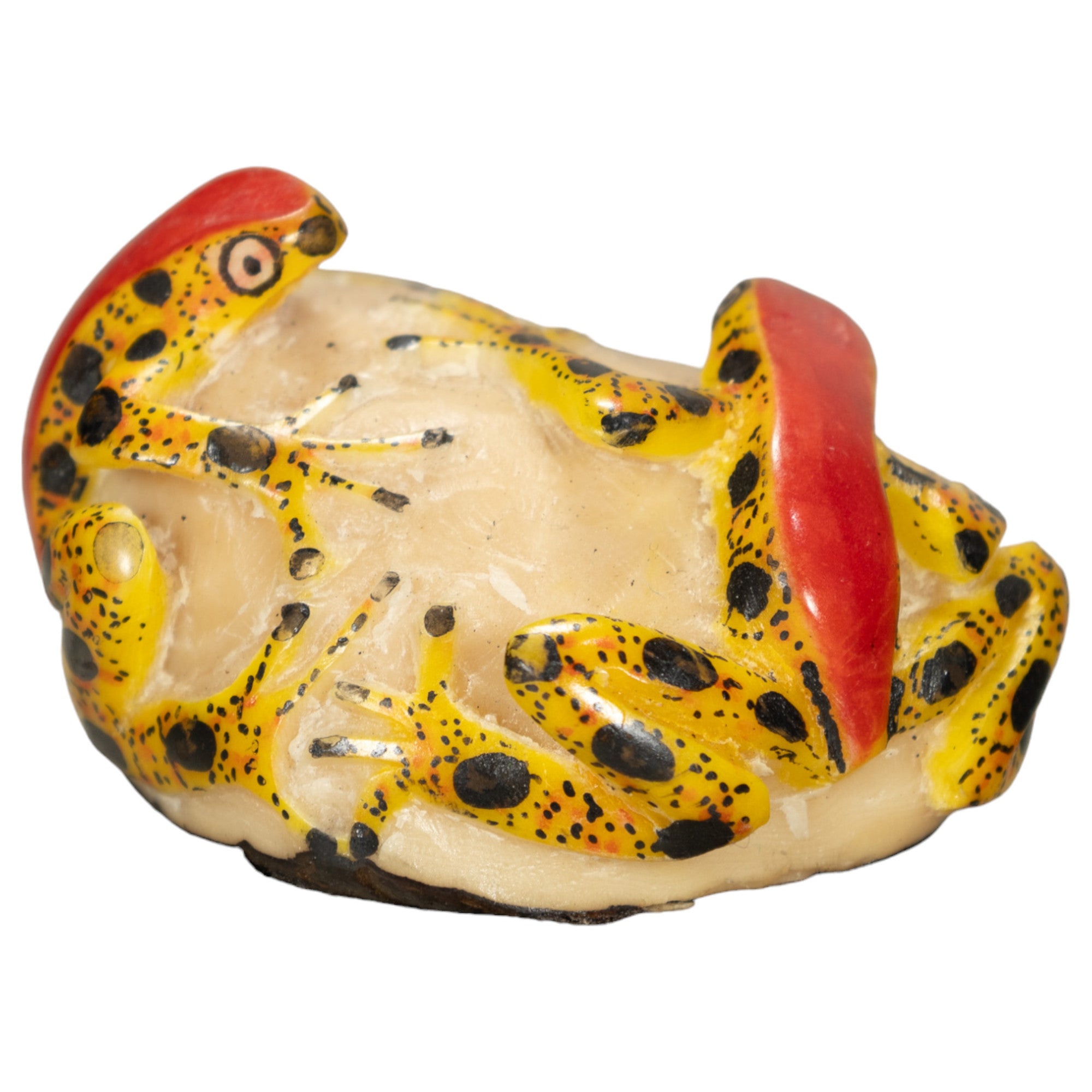 Two Poison Dart Frog Tagua Nut Carving