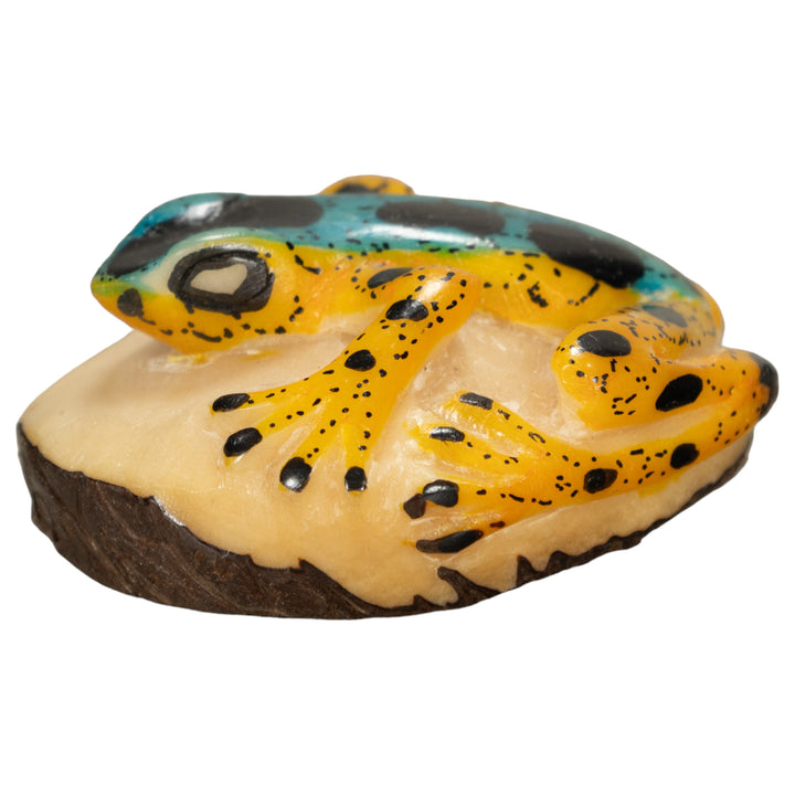 Poison Dart Frog Tagua Nut Carving
