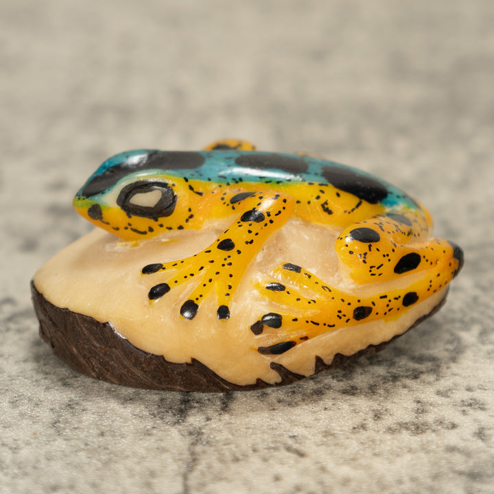 Poison Dart Frog Tagua Nut Carving
