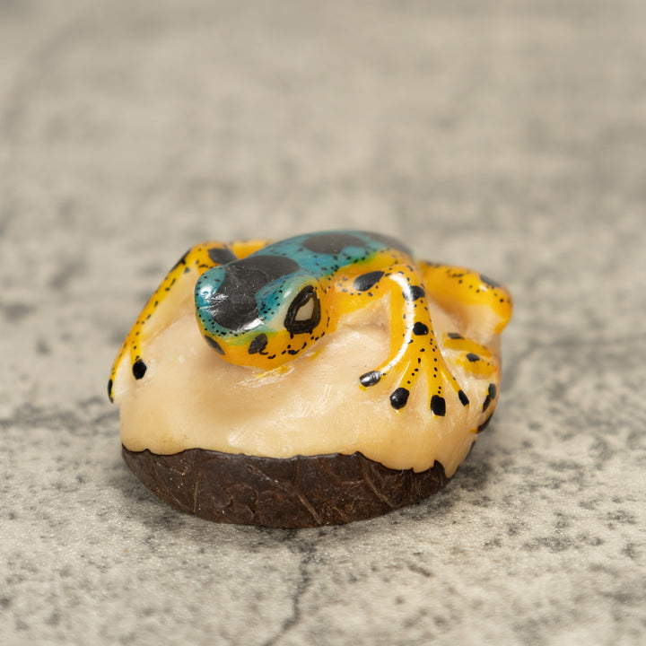 Poison Dart Frog Tagua Nut Carving