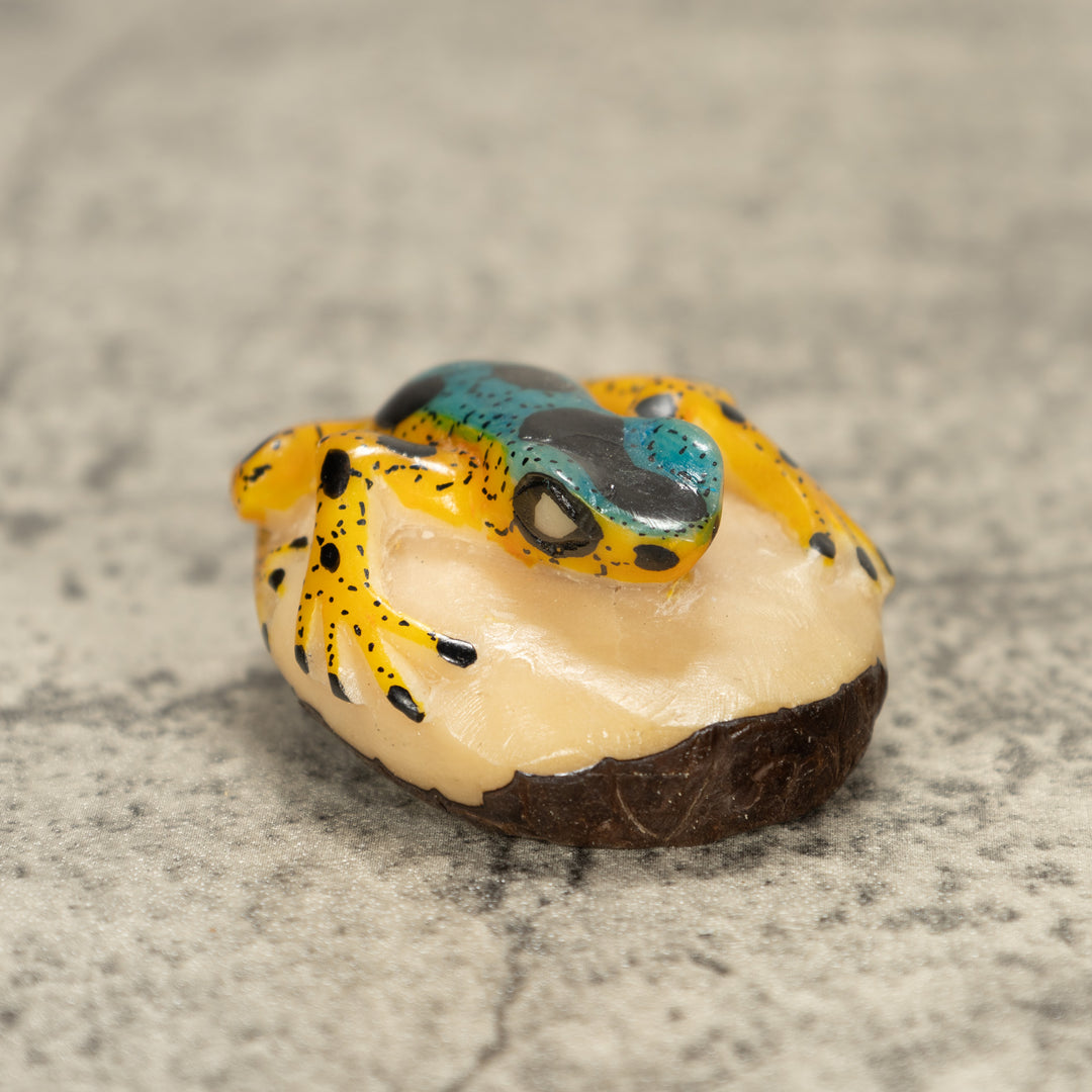 Poison Dart Frog Tagua Nut Carving