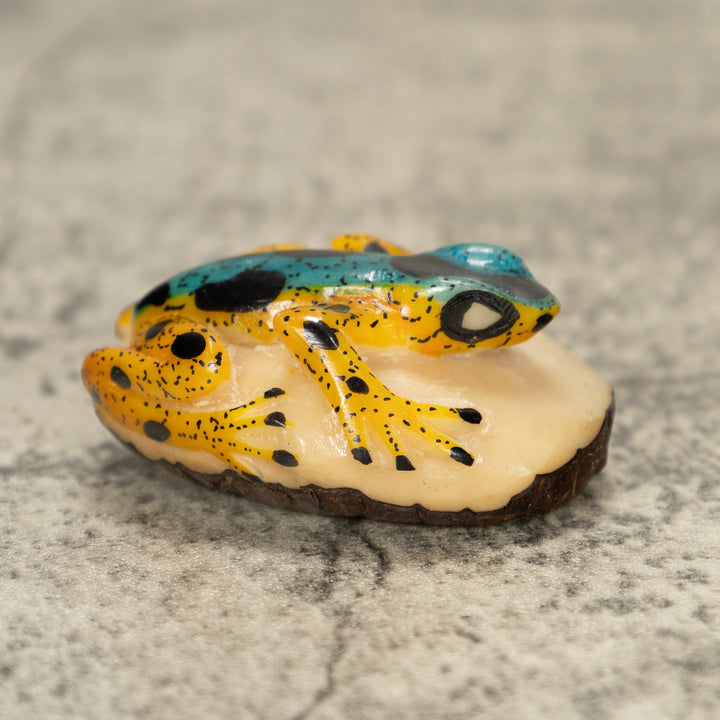 Poison Dart Frog Tagua Nut Carving