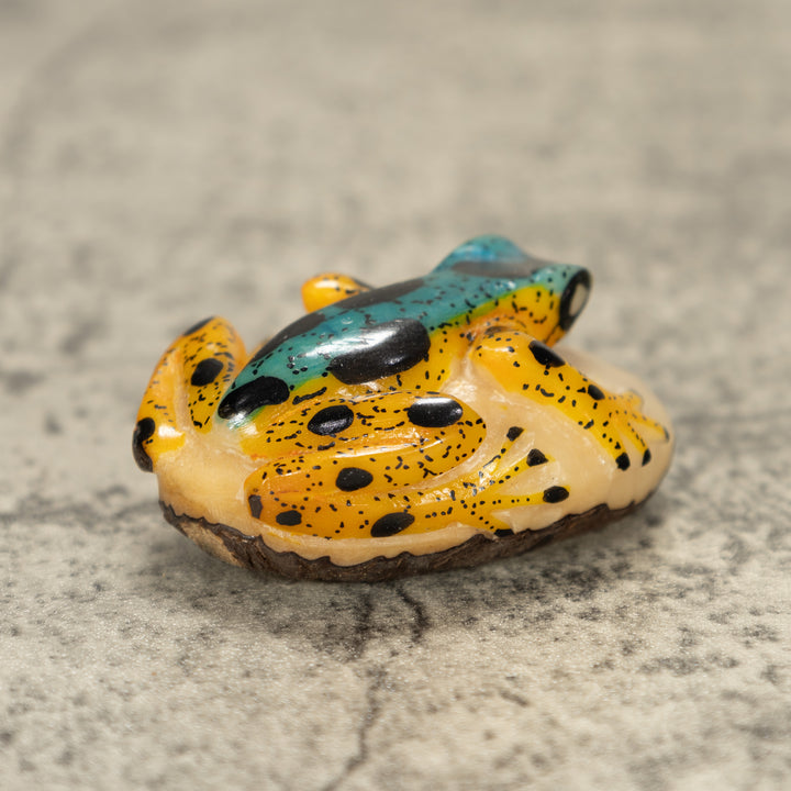 Poison Dart Frog Tagua Nut Carving