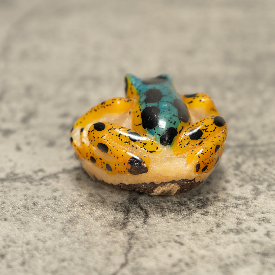 Poison Dart Frog Tagua Nut Carving