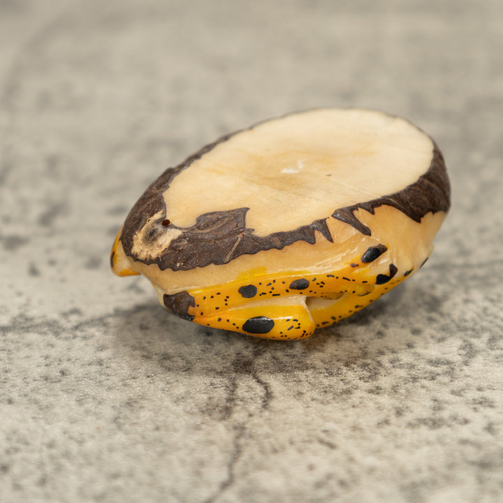 Poison Dart Frog Tagua Nut Carving