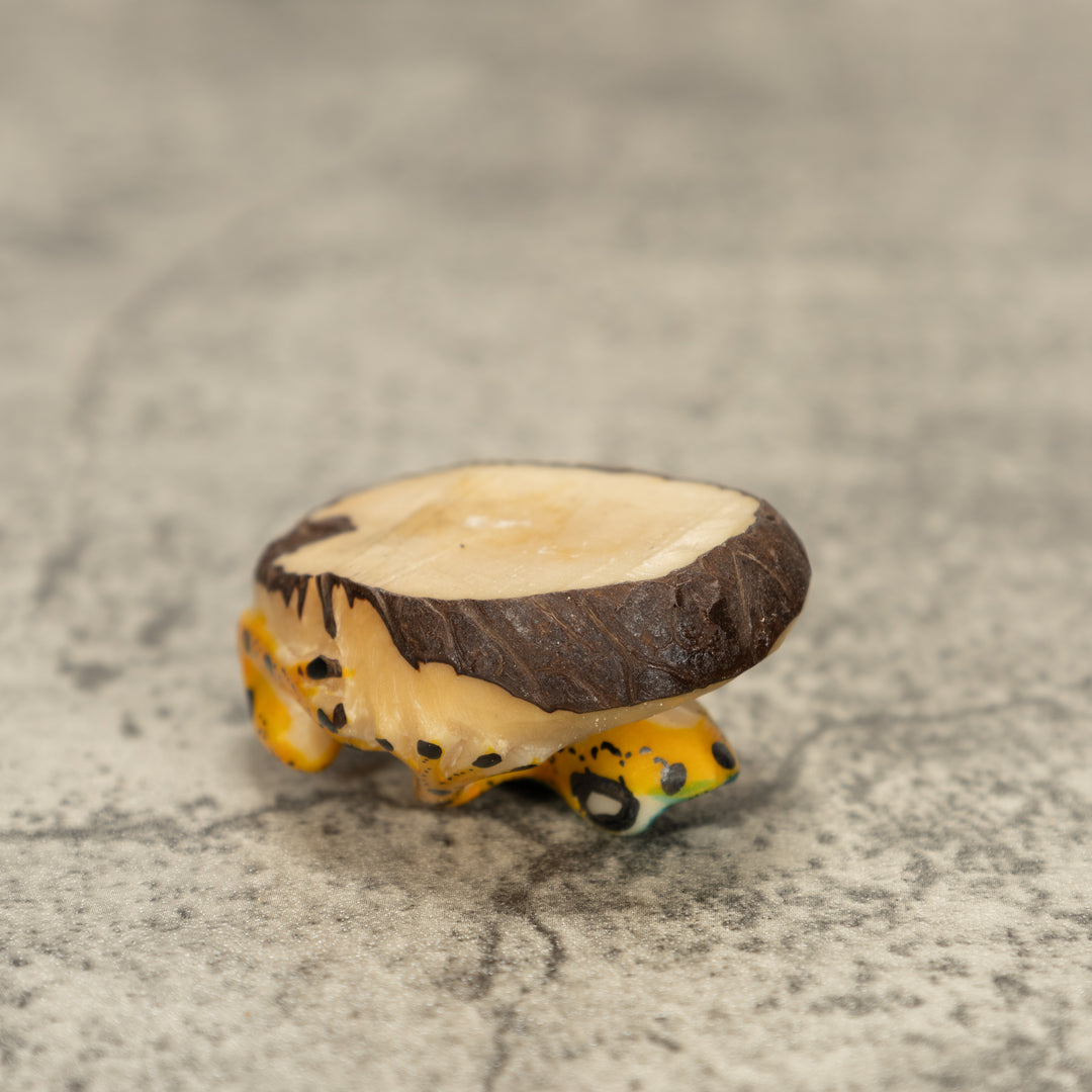 Poison Dart Frog Tagua Nut Carving