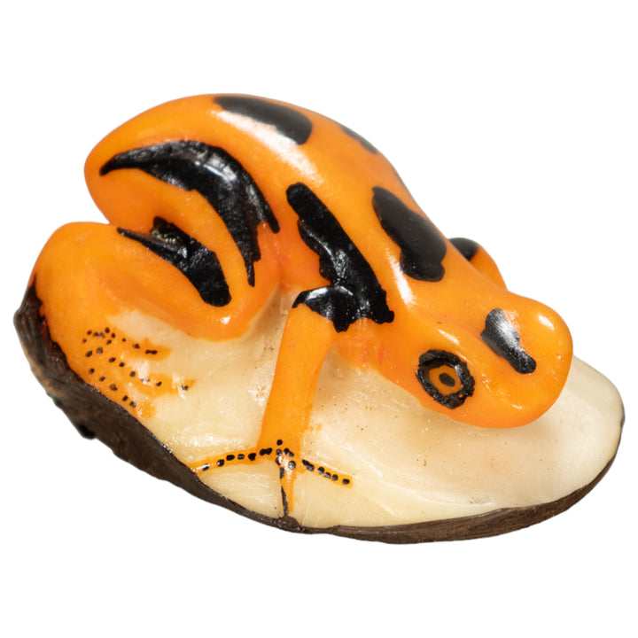 Poison Dart Frog Tagua Nut Carving