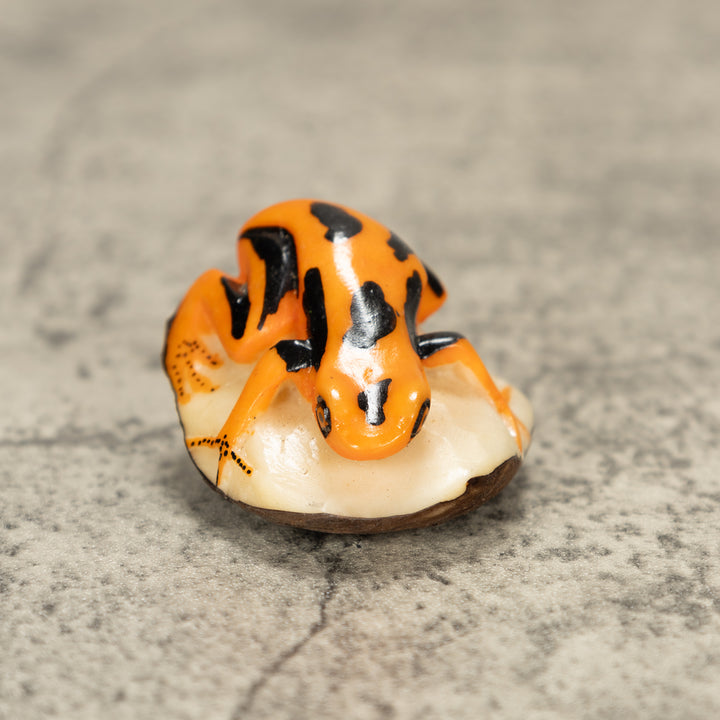 Poison Dart Frog Tagua Nut Carving