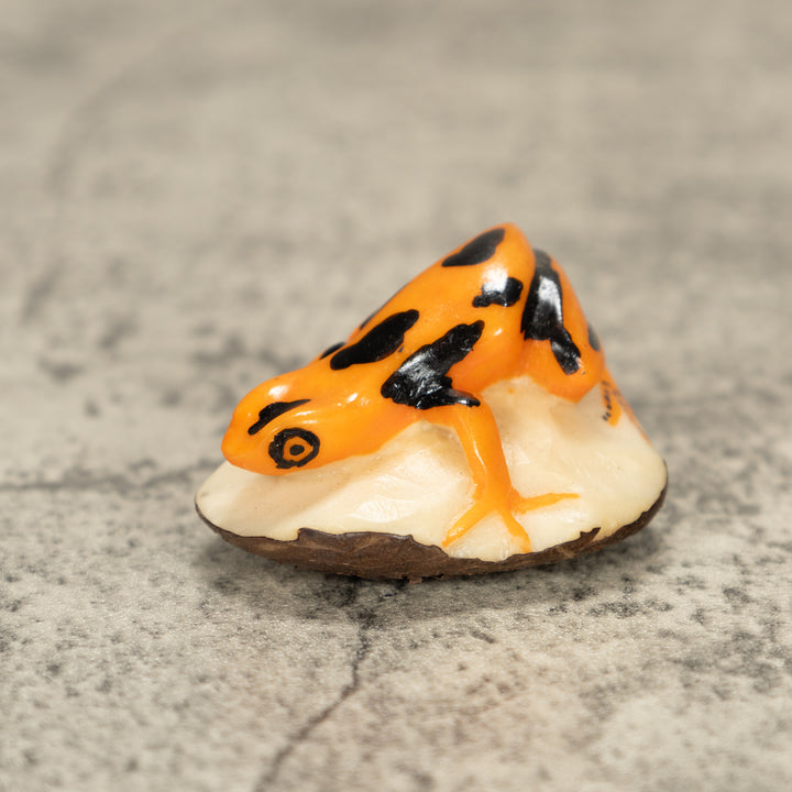Poison Dart Frog Tagua Nut Carving