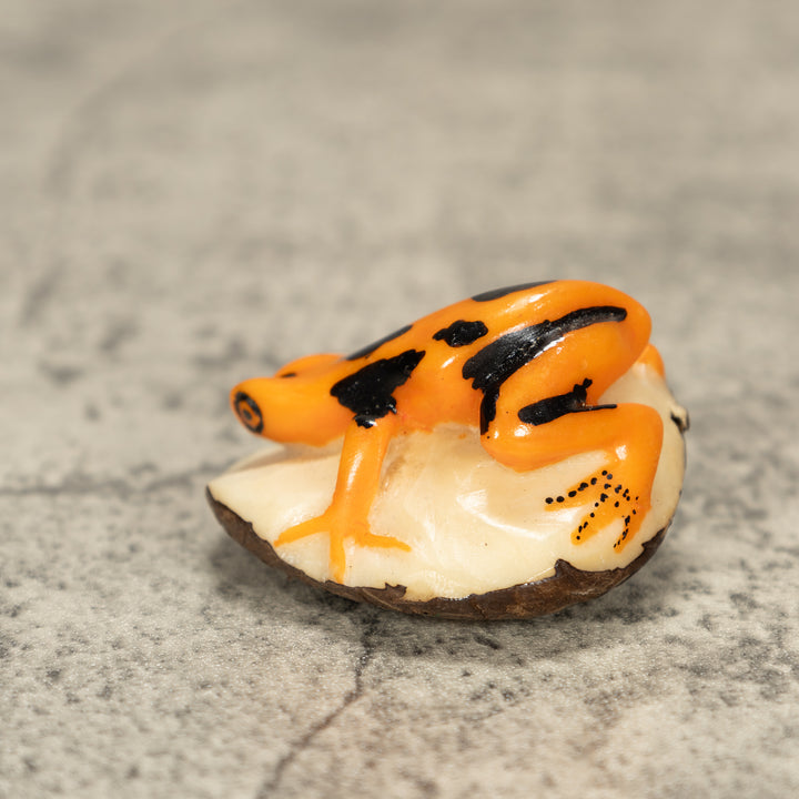 Poison Dart Frog Tagua Nut Carving