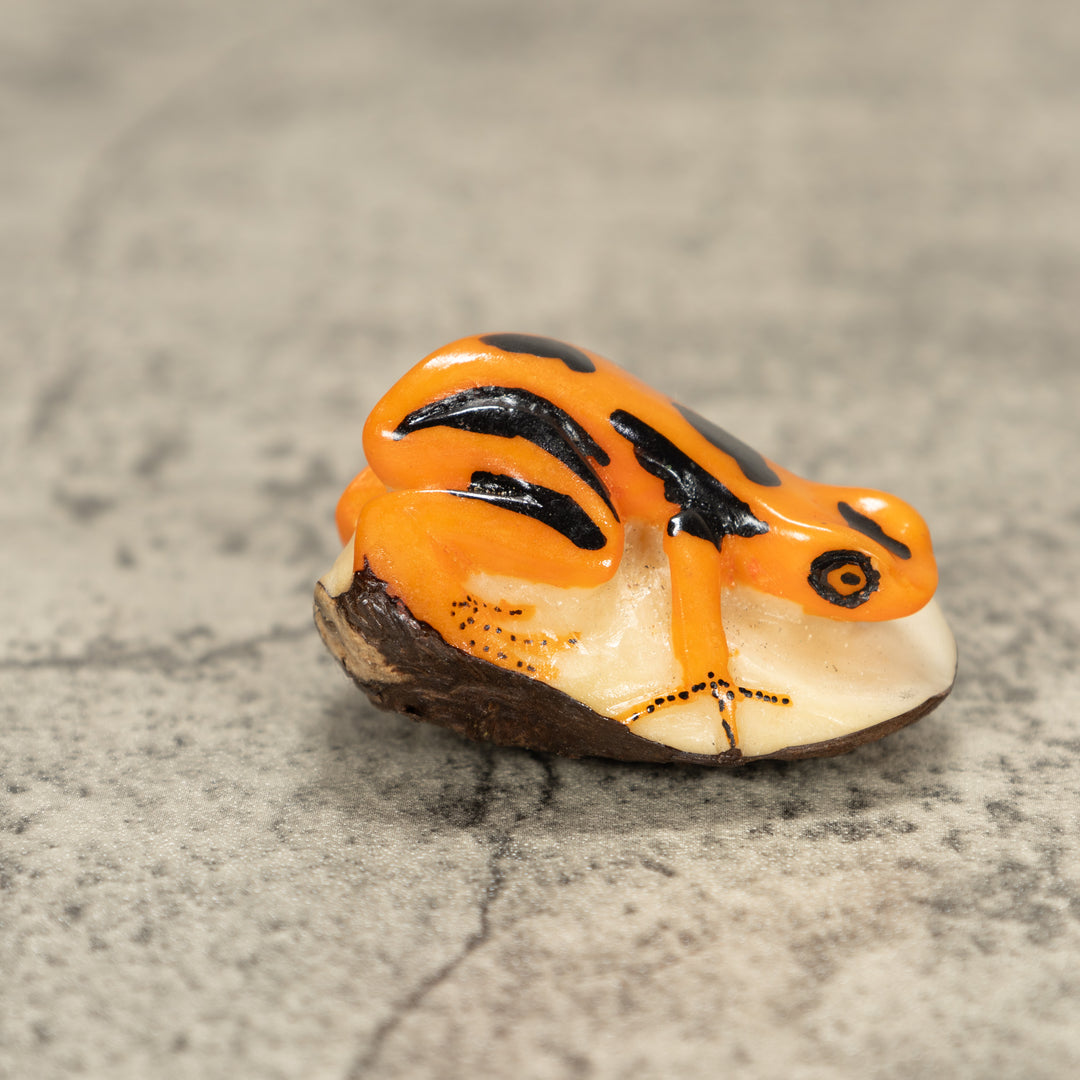 Poison Dart Frog Tagua Nut Carving