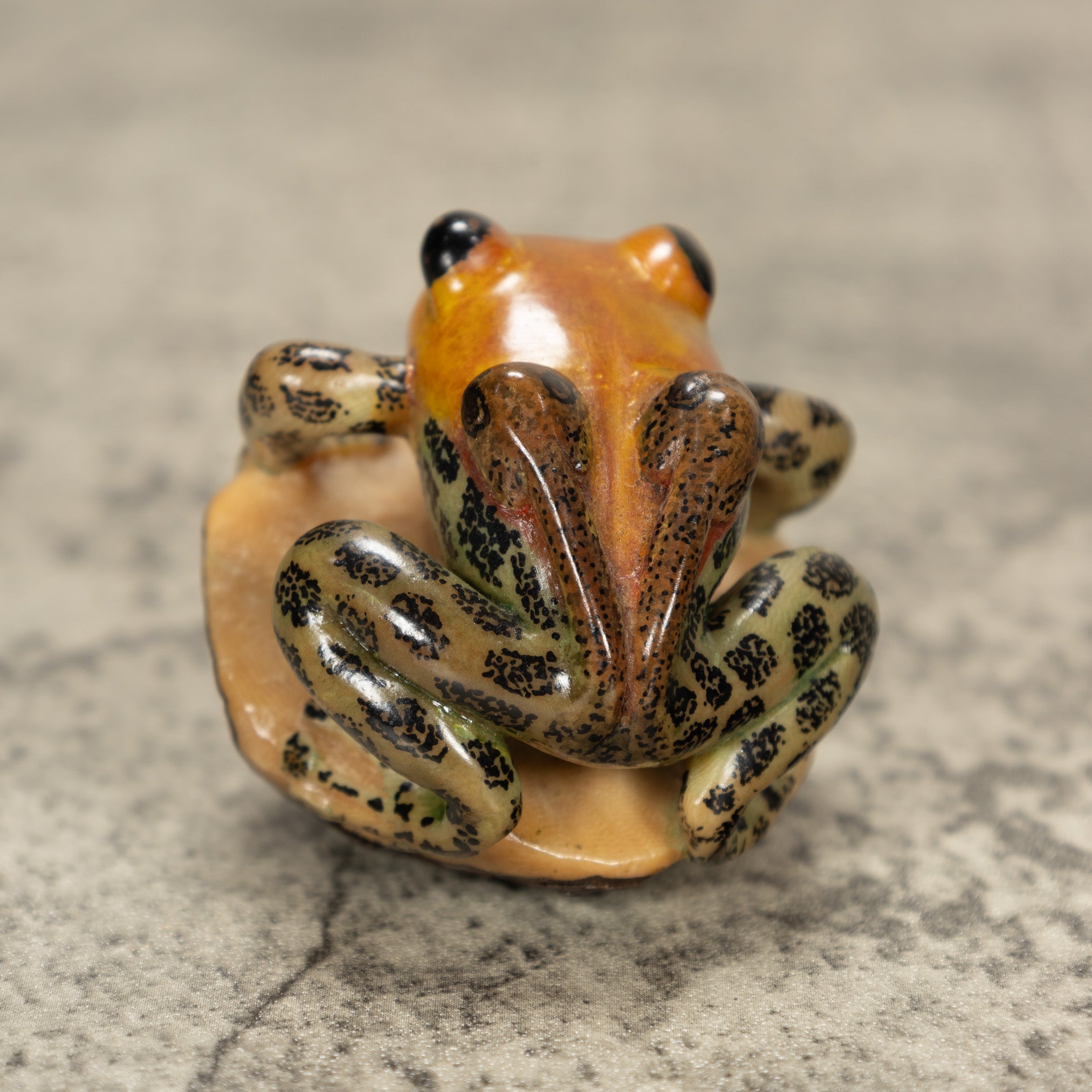 Poison Dart Frog Tagua Nut Carving