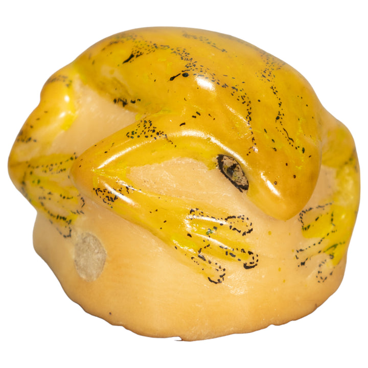 Poison Dart Frog Tagua Nut Carving